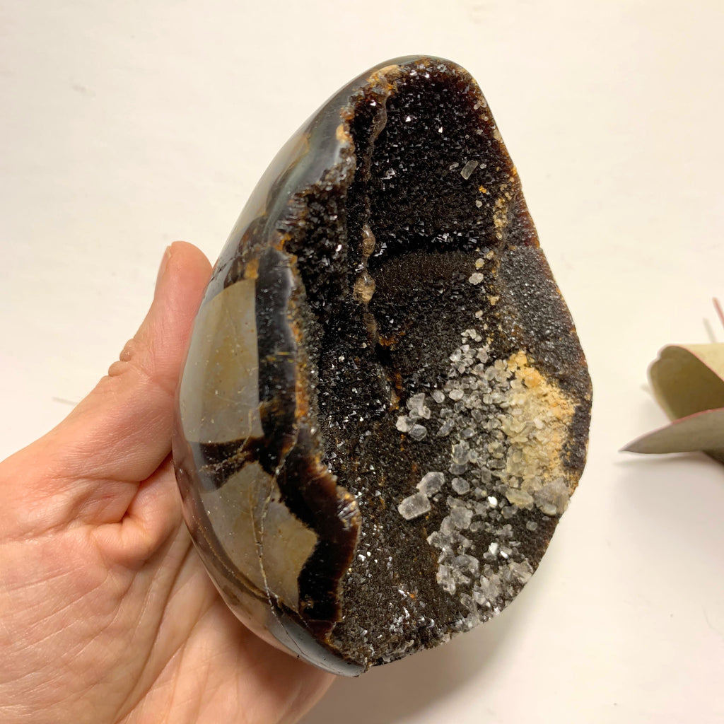 Fascinating Chocolate Brown Druzy Septarian Dragon Egg Display Geode With Calcite Inclusions - Earth Family Crystals