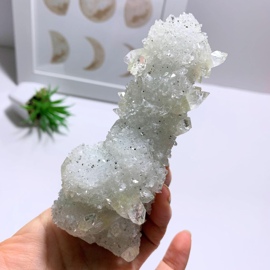 Incredibly Rare Formation! Clear & Green Apophyllite Stalactite Large Standing Display Specimen From India - Earth Family Crystals