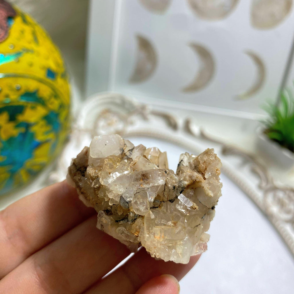 Sparkling Natural Quartz Cluster ~Locality: Arkansas - Earth Family Crystals