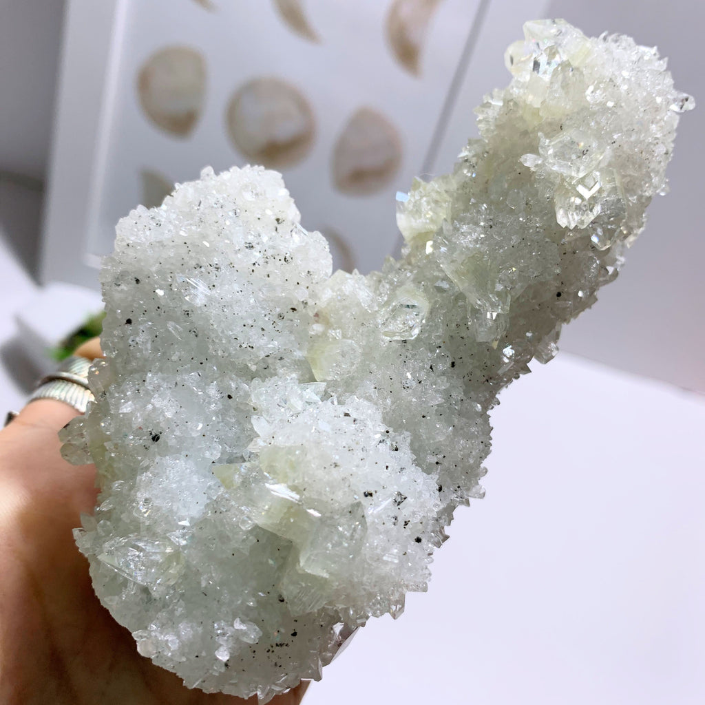 Incredibly Rare Formation! Clear & Green Apophyllite Stalactite Large Standing Display Specimen From India - Earth Family Crystals
