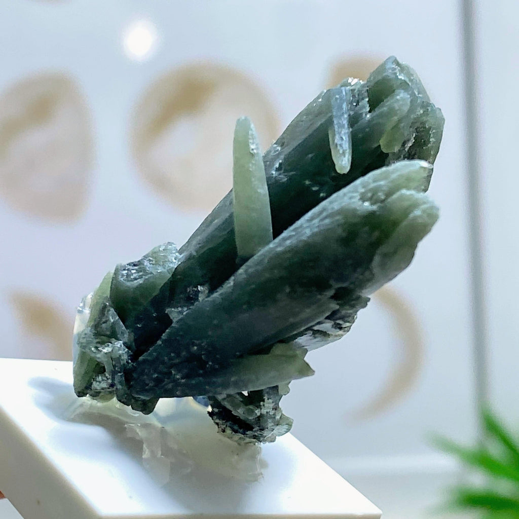 Very Rare ~ Seriphos Green Quartz Intricate Collectors Cluster Specimen ~Locality: Serifos, Greece - Earth Family Crystals