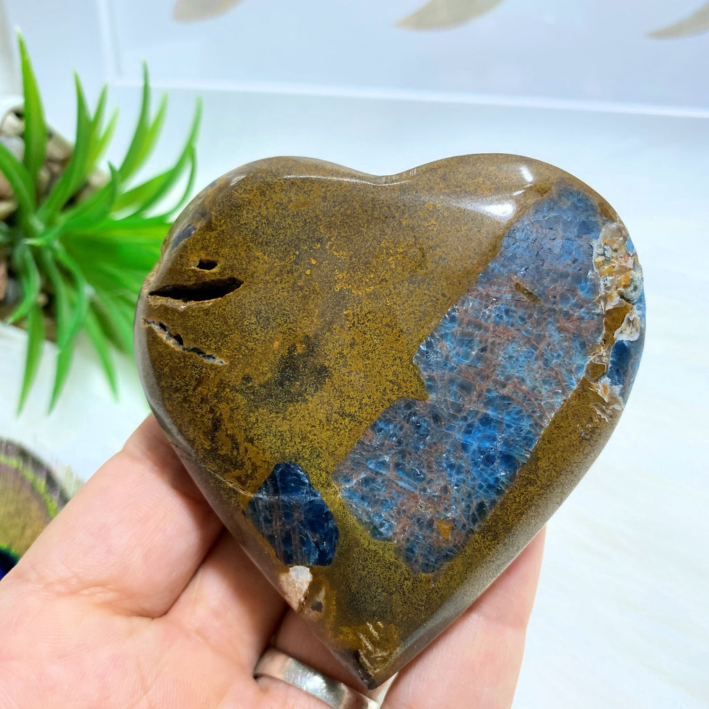 Blue Apatite & Brown Jasper Heart Partially Polished Carving From Brazil #4 - Earth Family Crystals