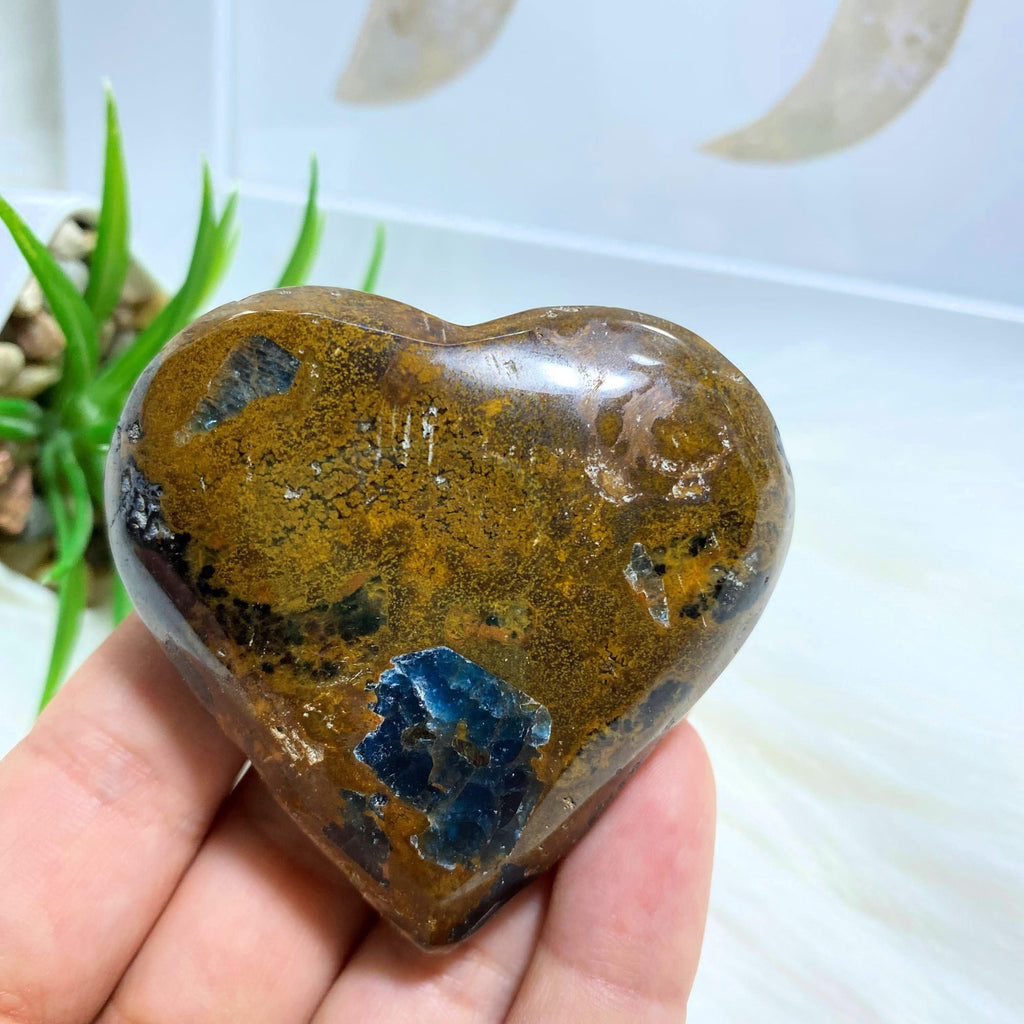 Blue Apatite & Brown Jasper Medium Heart Partially Polished Carving From Brazil #6 - Earth Family Crystals