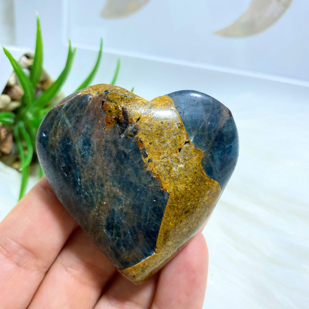Blue Apatite & Brown Jasper  Heart Partially Polished Carving From Brazil #8 - Earth Family Crystals
