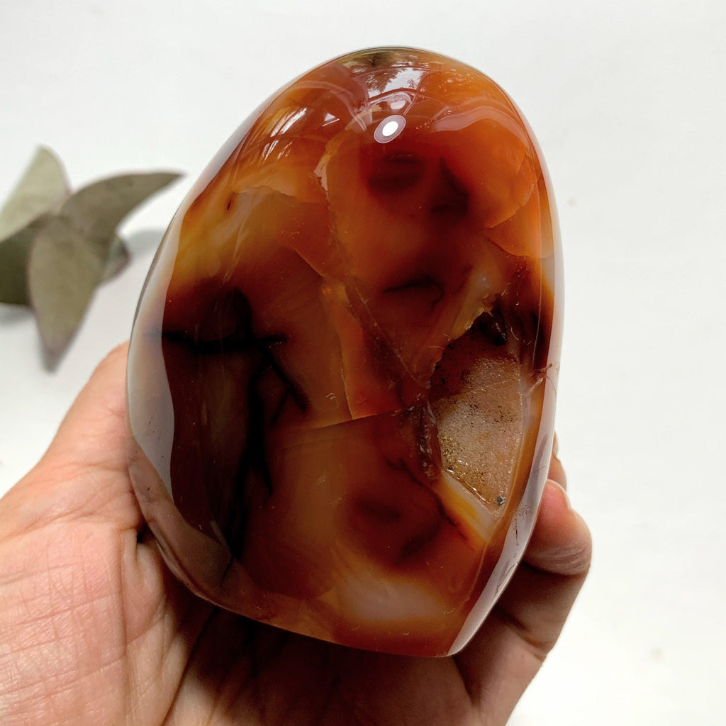 Vibrant Orange & Creamy White Carnelian Standing Specimen With Cave - Earth Family Crystals