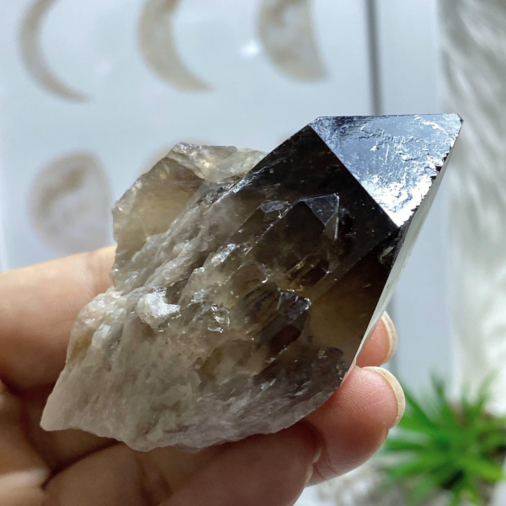 Phantom Elestial Natural Smoky Quartz & Citrine Kundalini Point - Earth Family Crystals