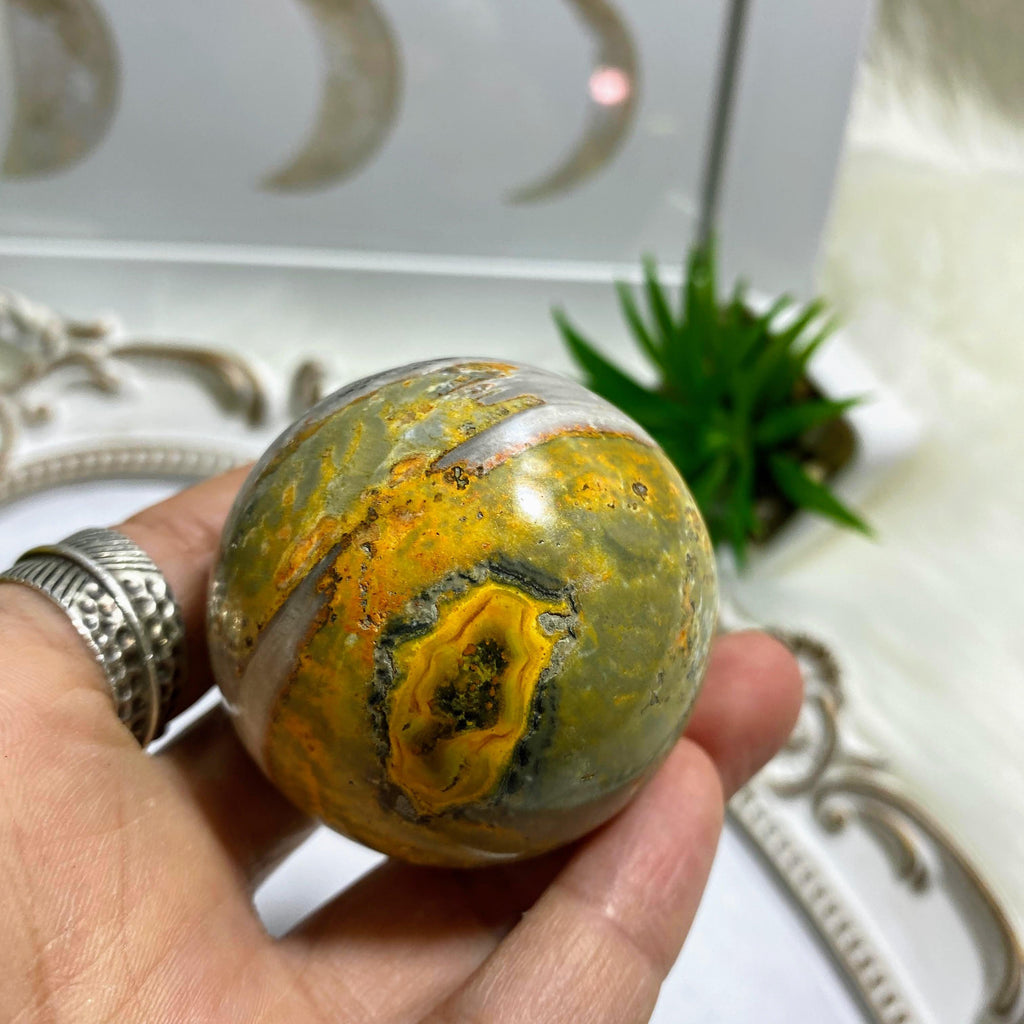 Bumble Bee Jasper Medium Sphere Carving  #1 - Earth Family Crystals