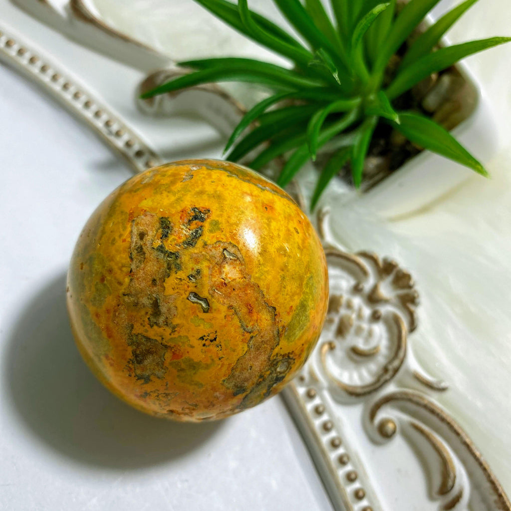 Bumble Bee Jasper Medium Sphere Carving  #2 - Earth Family Crystals