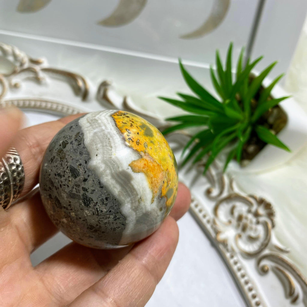 Bumble Bee Jasper Medium Sphere Carving  #4 - Earth Family Crystals