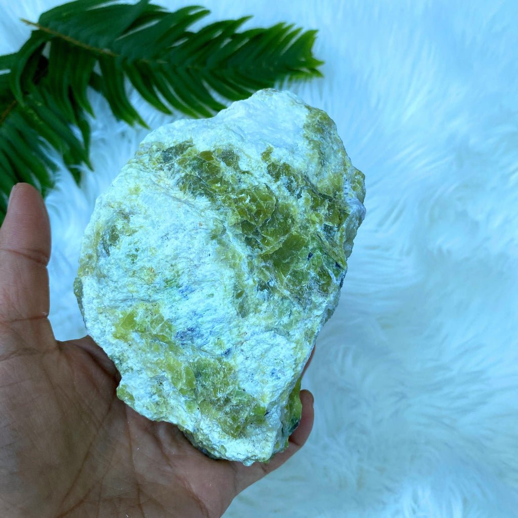 Lime Green XL Serpentine Natural Specimen From Washington, USA - Earth Family Crystals