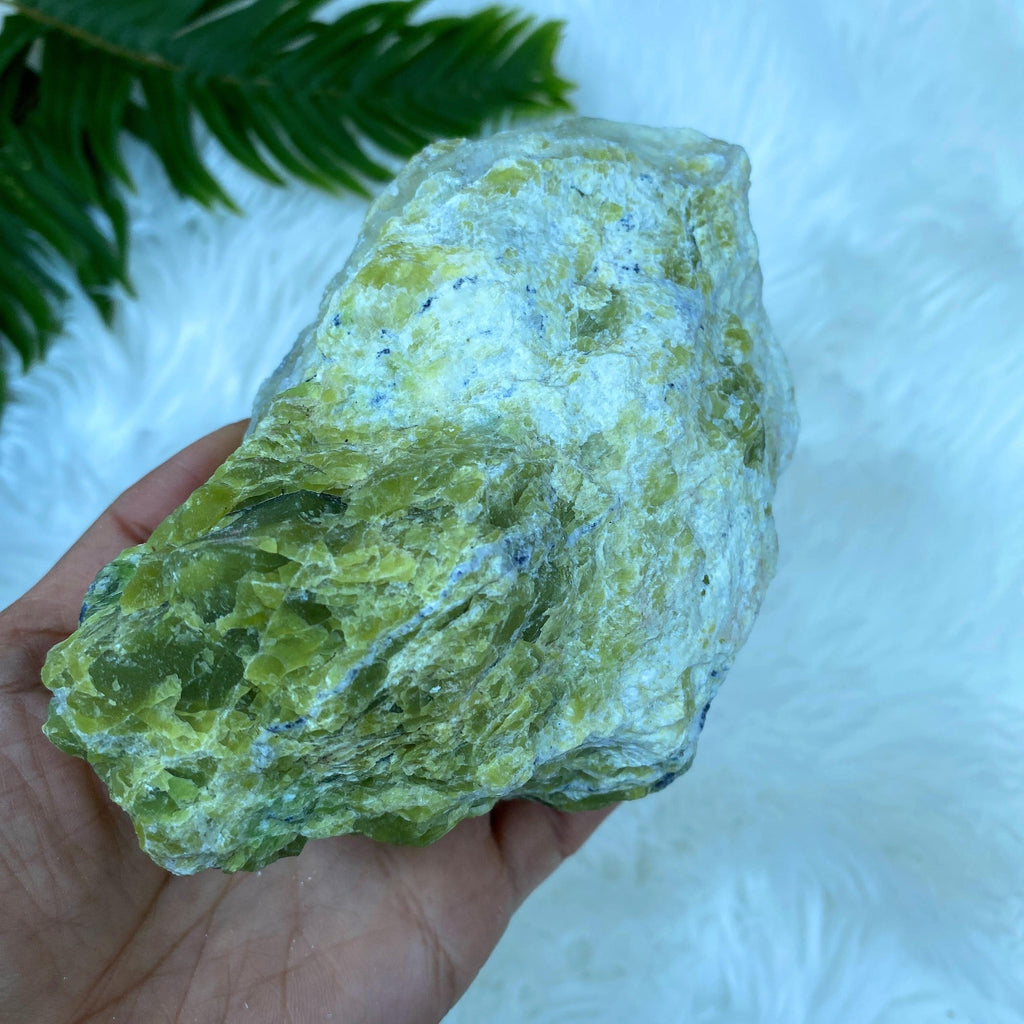 Lime Green XL Serpentine Natural Specimen From Washington, USA - Earth Family Crystals