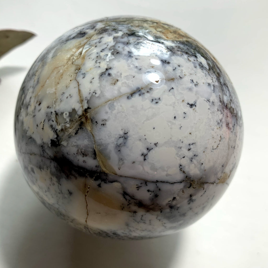 Incredible Depth! XL Dendritic Agate Sphere Carving - Earth Family Crystals