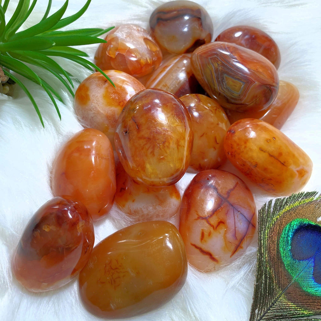 One Fiery Orange Carnelian Palm Stone From Madagascar - Earth Family Crystals
