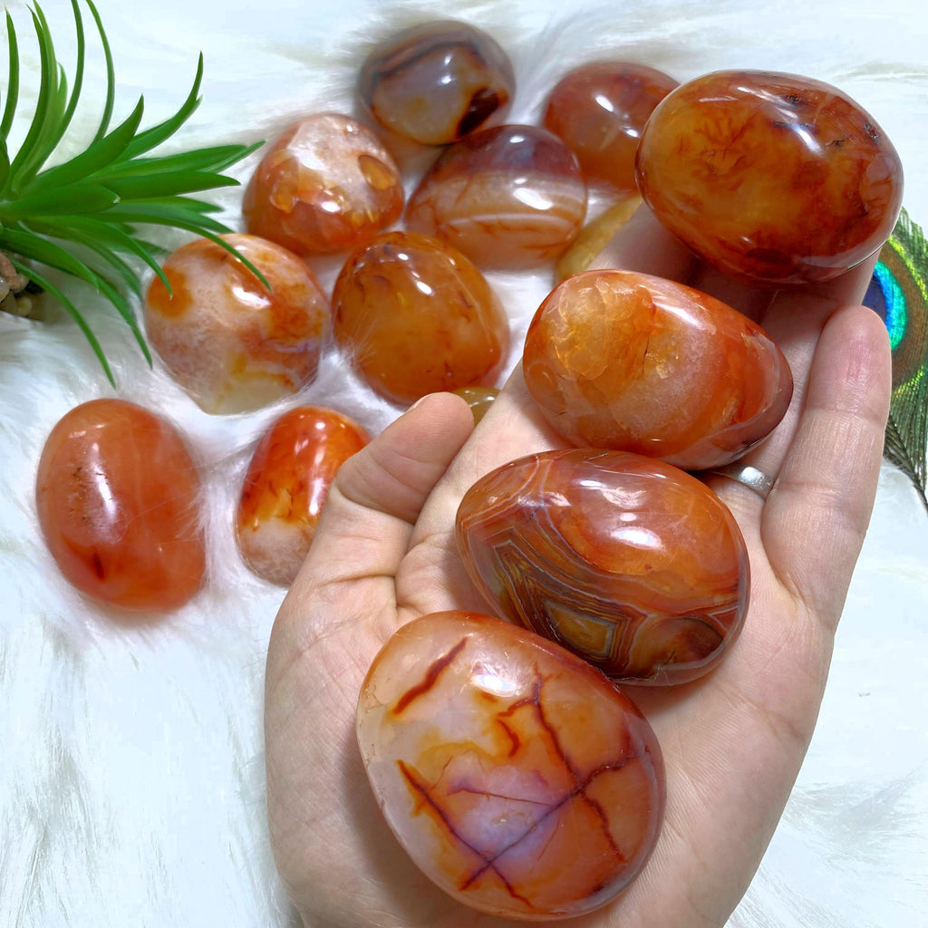 One Fiery Orange Carnelian Palm Stone From Madagascar - Earth Family Crystals