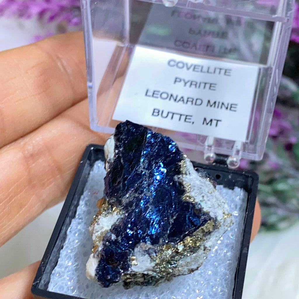 Very Rare Covellite & Pyrite Collectors Specimen in Box from Leonard Mine, Butte, Montana - Earth Family Crystals