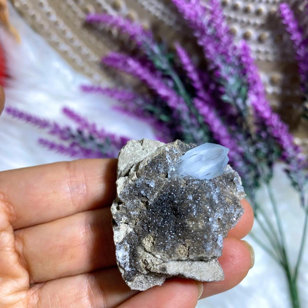 Very Rare! Michigan Celestite Natural Gemmy Points in Matrix Specimen~Locality: Monroe County, Michigan - Earth Family Crystals
