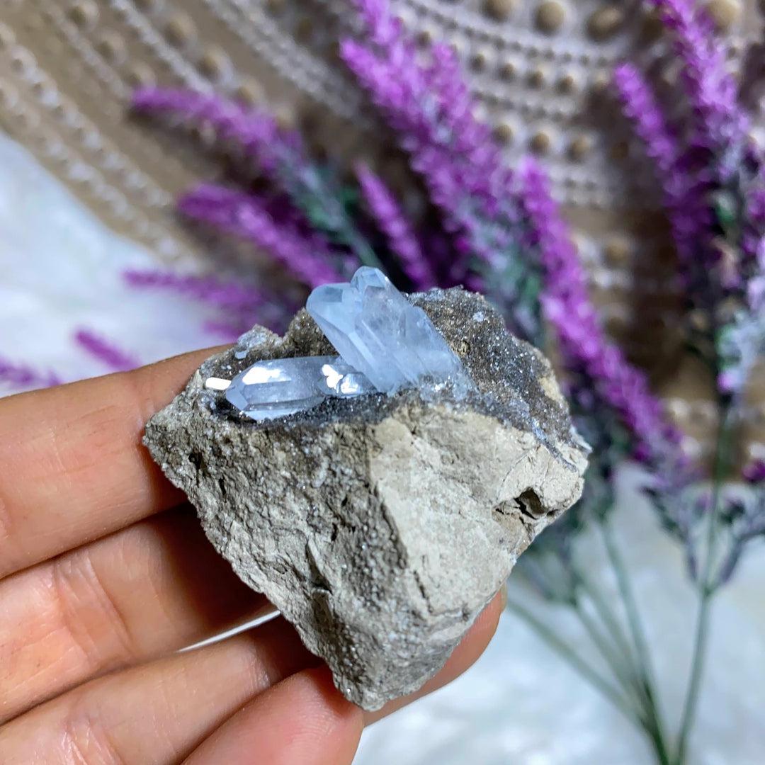 Very Rare! Michigan Celestite Natural Gemmy Points in Matrix Specimen~Locality: Monroe County, Michigan - Earth Family Crystals