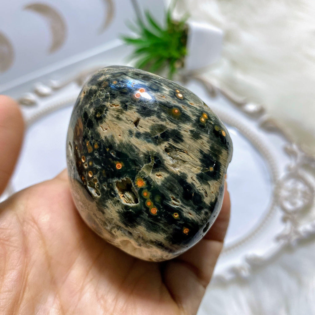 Unique Druzy Caves & Orbs! Ocean Jasper Partially Polished Specimen~ Locality Madagascar - Earth Family Crystals