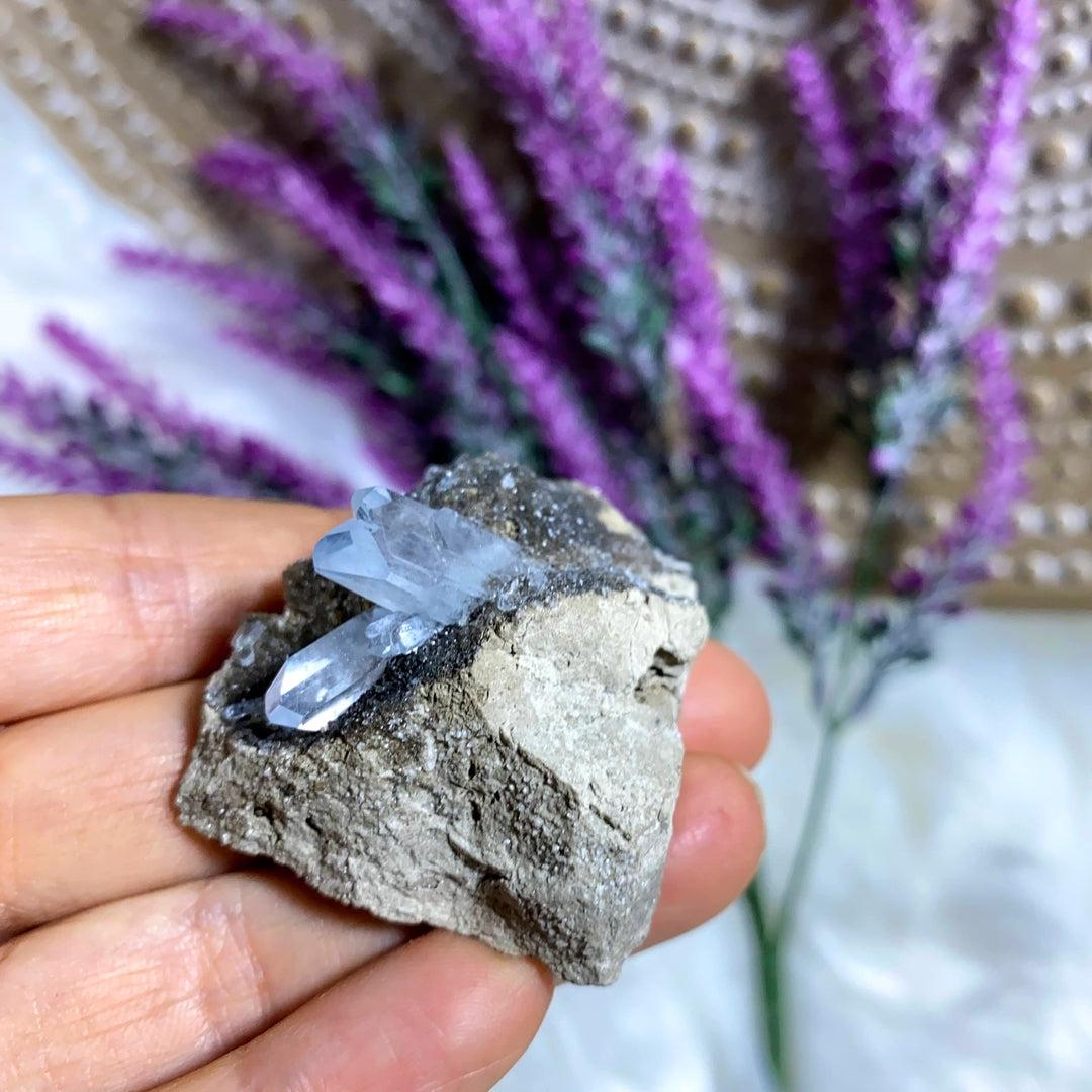 Very Rare! Michigan Celestite Natural Gemmy Points in Matrix Specimen~Locality: Monroe County, Michigan - Earth Family Crystals