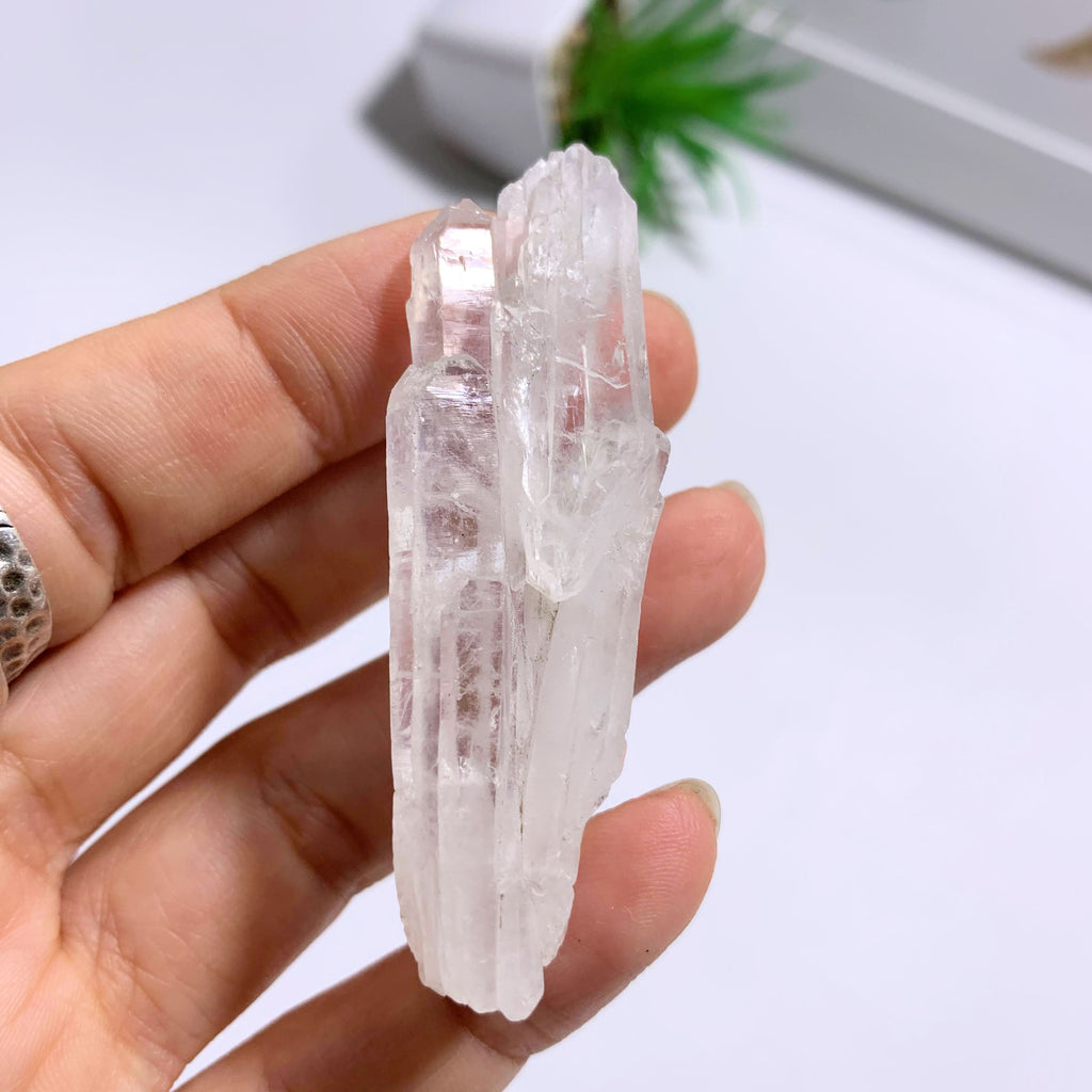 Faden Quartz Natural Point Specimen From Pakistan #5 - Earth Family Crystals