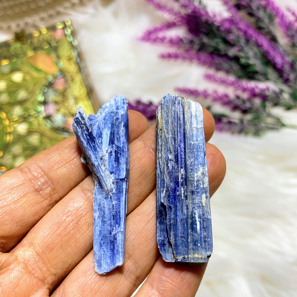 Set of 2 ~ Gemmy Blue Kyanite Natural Points From Brazil - Earth Family Crystals