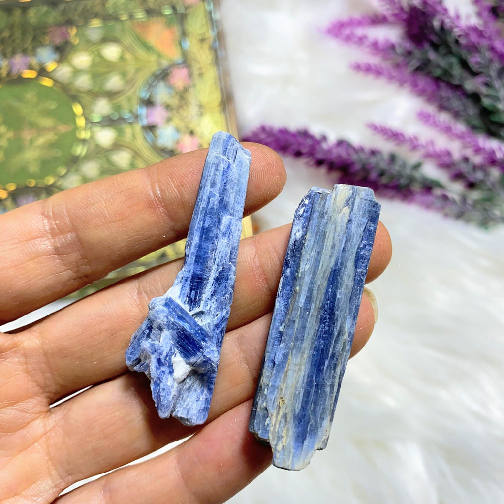 Set of 2 ~ Gemmy Blue Kyanite Natural Points From Brazil - Earth Family Crystals