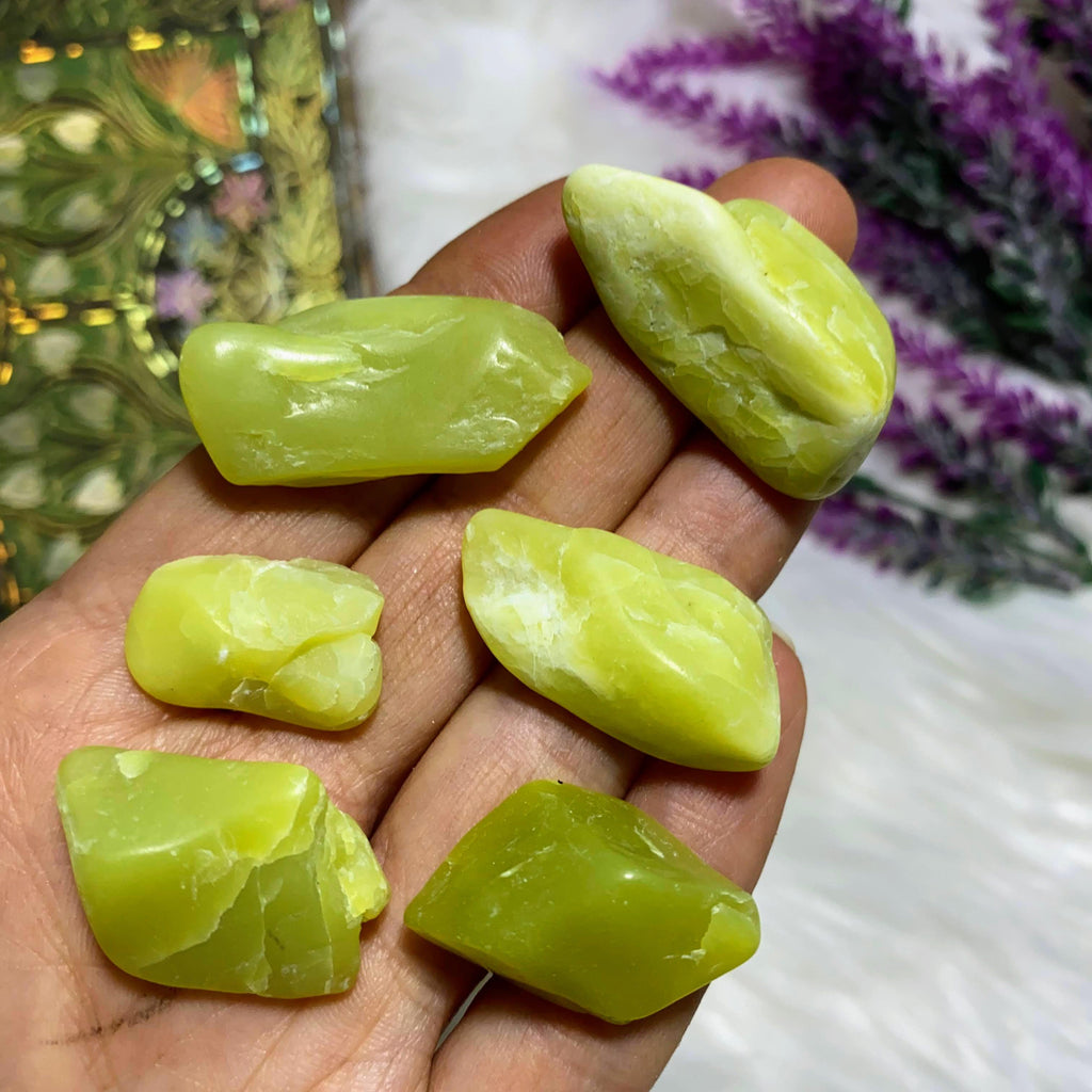 Set of 6 Lime Green Serpentine Tumbled Stones ~ Washington, USA - Earth Family Crystals