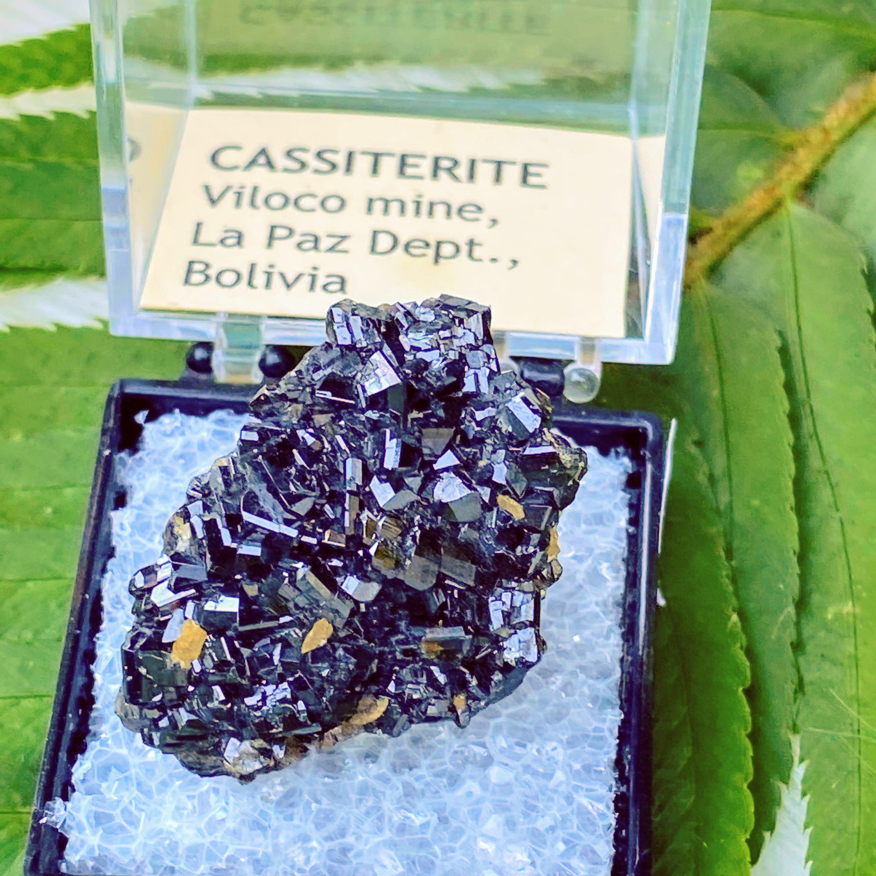 Very Rare Cassiterite in Collectors box from La Paz Dept, Bolivia - Earth Family Crystals