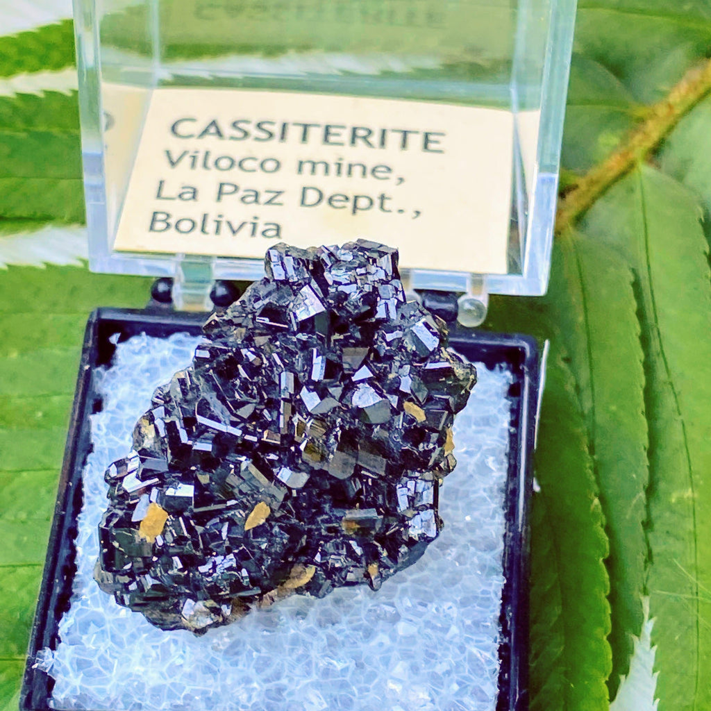 Very Rare Cassiterite in Collectors box from La Paz Dept, Bolivia - Earth Family Crystals