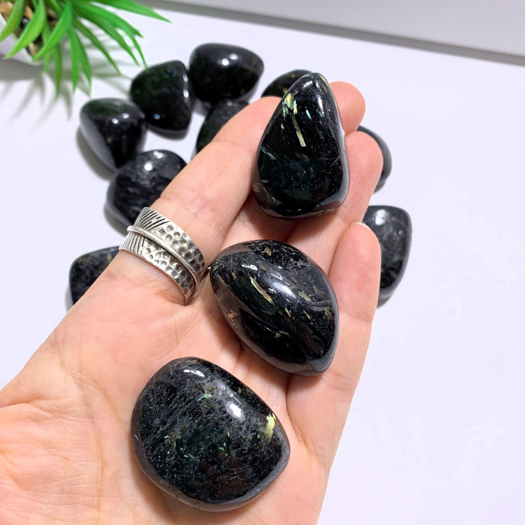 One Authentic & Rare Nuummite Polished Palm Stone ~Locality Greenland - Earth Family Crystals