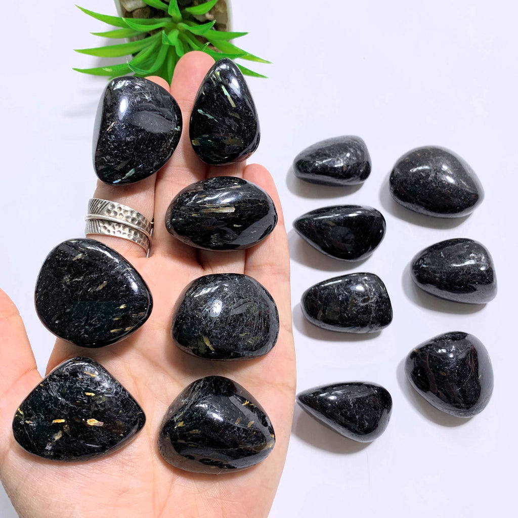 One Authentic & Rare Nuummite Polished Palm Stone ~Locality Greenland - Earth Family Crystals