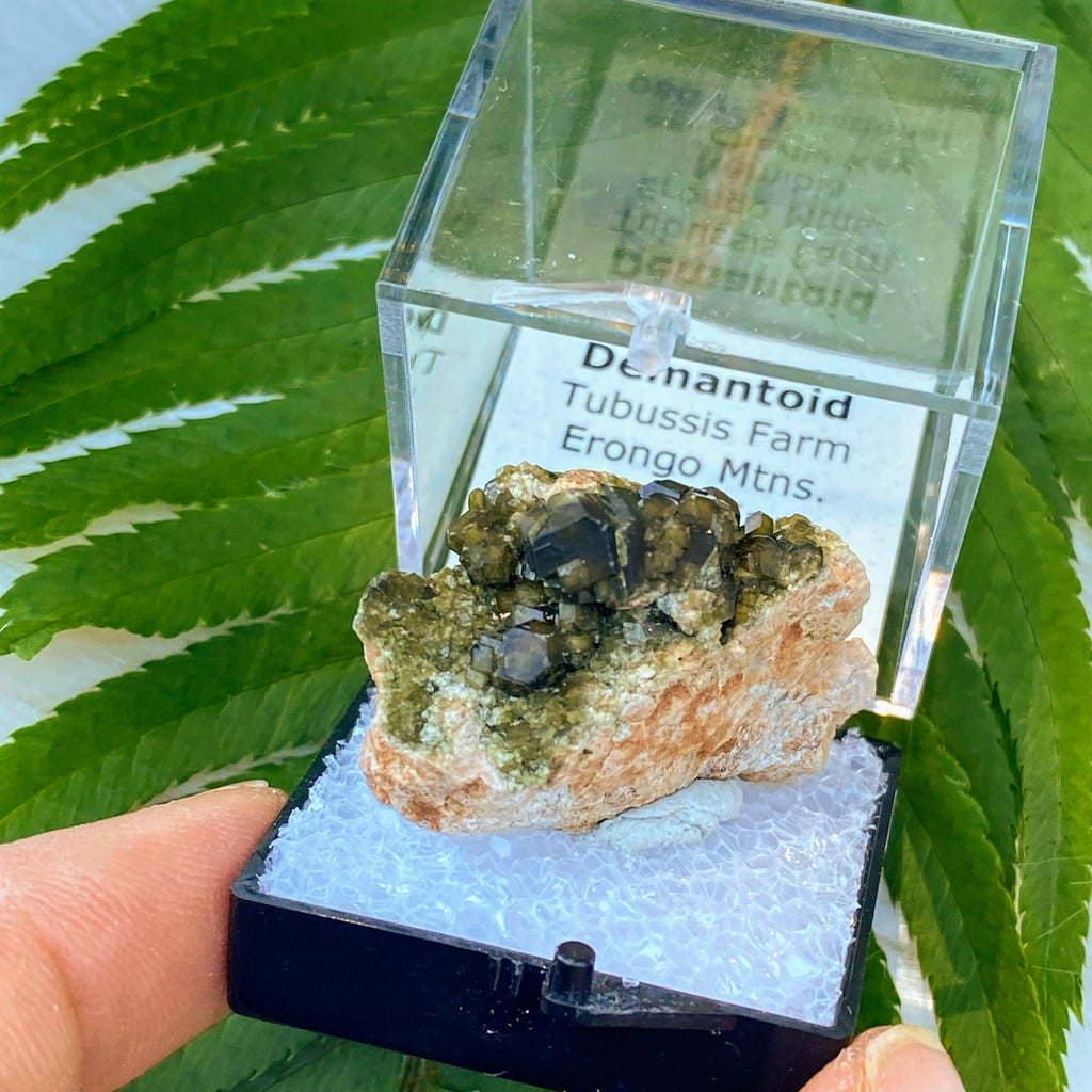 Rare Collectors Demantoid Green Garnet from Erongo Mnts, Namibia in box - Earth Family Crystals