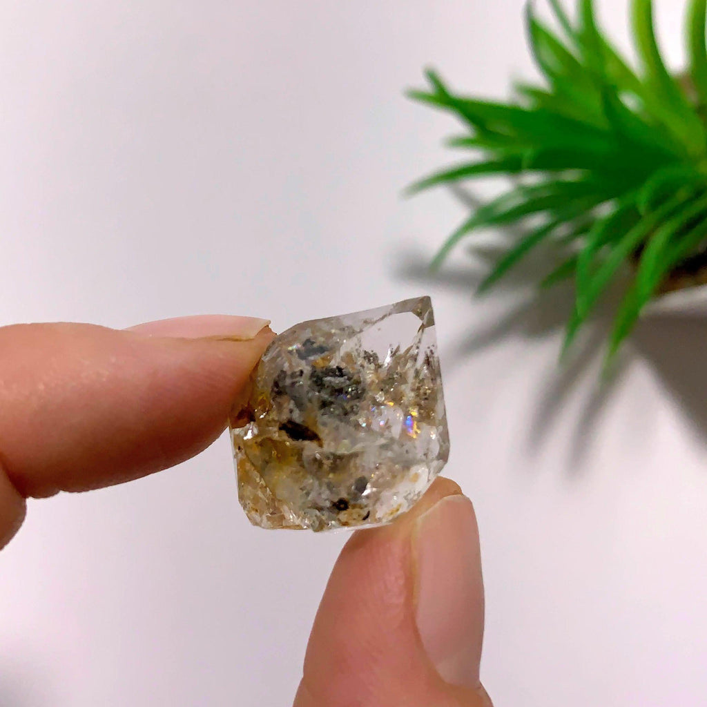 New York Herkimer Diamond with black Anthraxolite inclusions - Earth Family Crystals