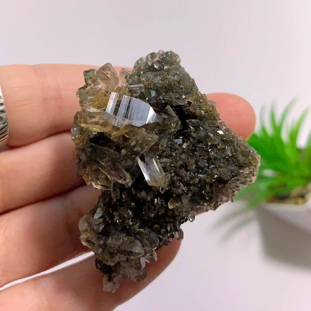 Samadhi Himalayan Quartz Cluster With Rutile Inclusions - Earth Family Crystals