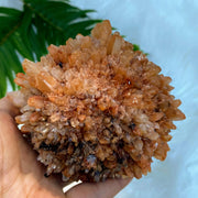 Fascinating XL hedgehog Creedite Natural Specimen -Locality Mexico - Earth Family Crystals