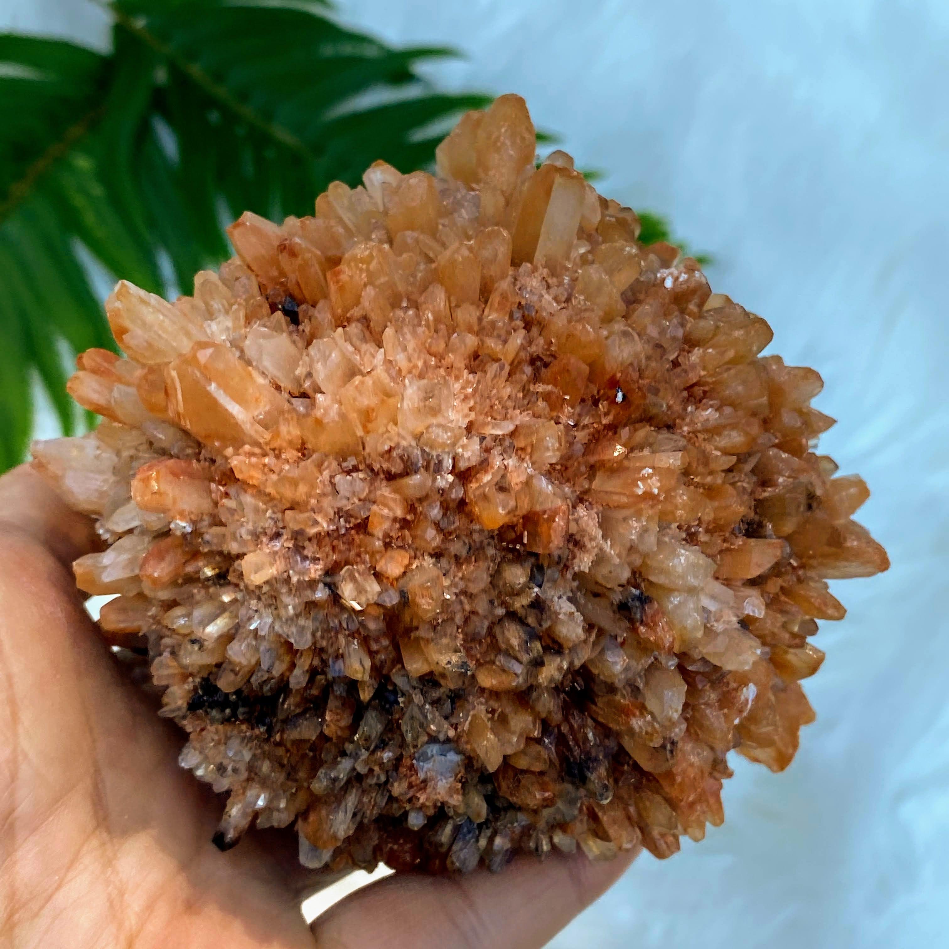 Fascinating XL hedgehog Creedite Natural Specimen -Locality Mexico - Earth Family Crystals
