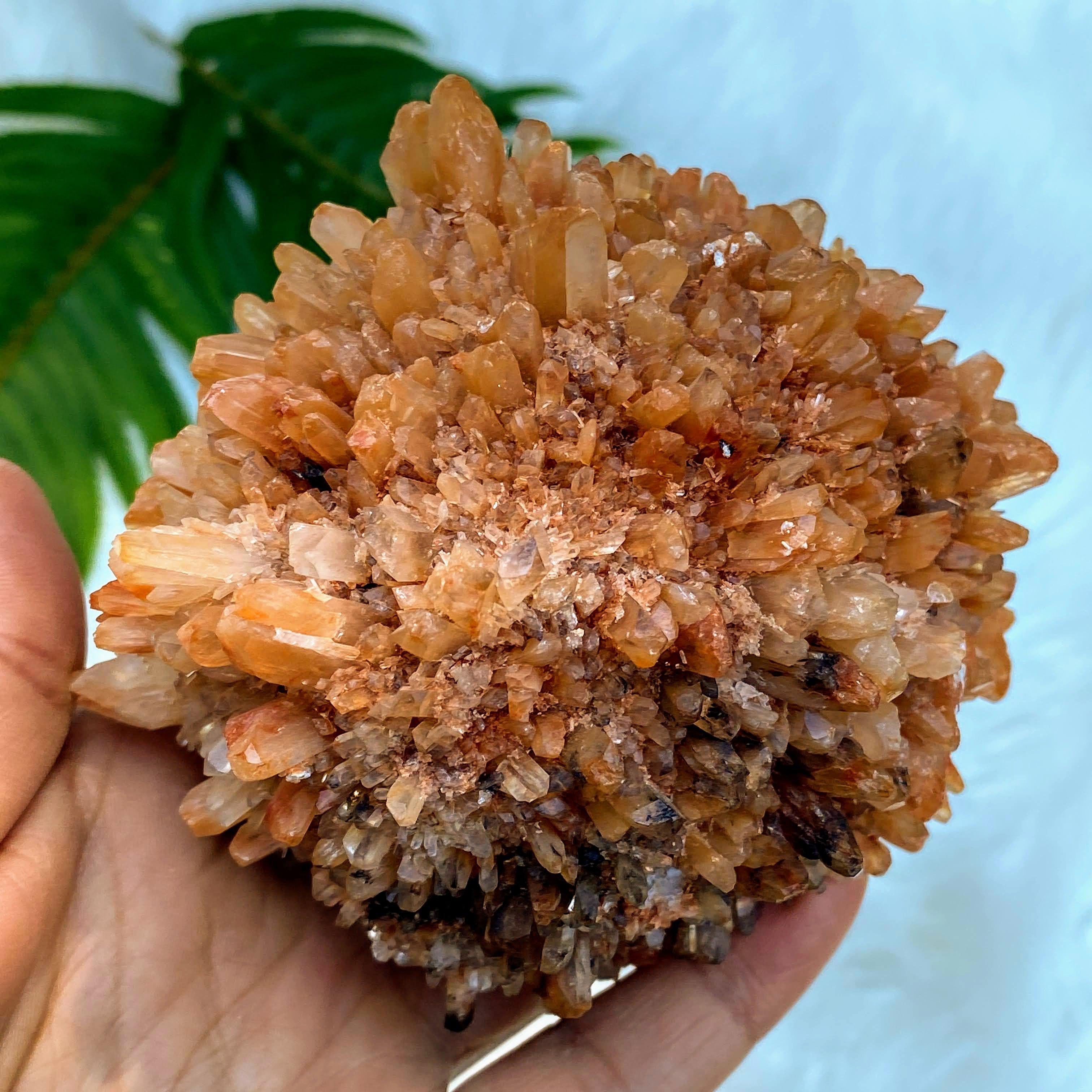 Fascinating XL hedgehog Creedite Natural Specimen -Locality Mexico - Earth Family Crystals