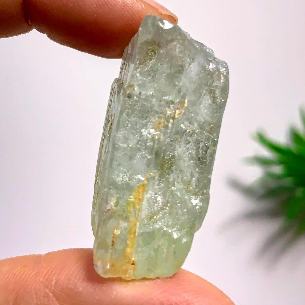 Gemmy Hiddenite (Green Kunzite) from Minas Gerais, Brazil #1 - Earth Family Crystals