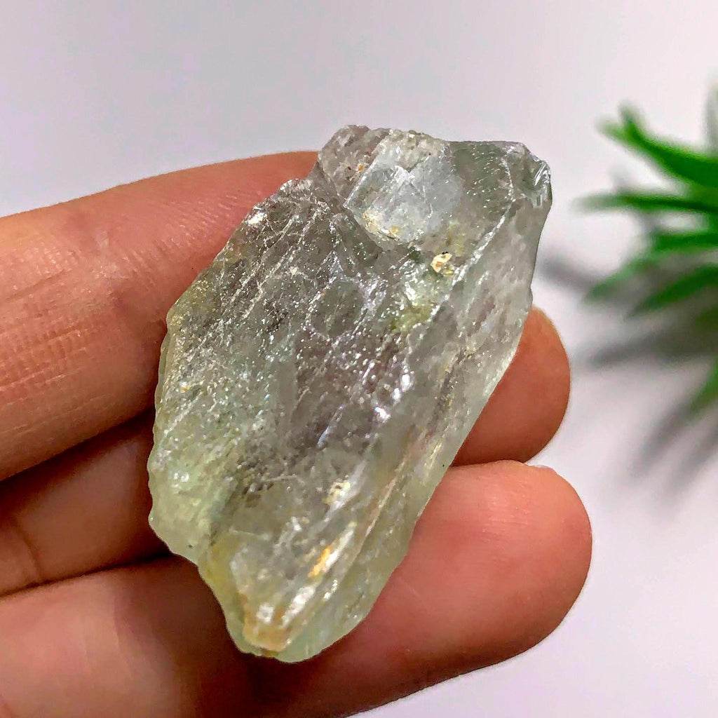 Gemmy Hiddenite (Green Kunzite) from Minas Gerais, Brazil #1 - Earth Family Crystals