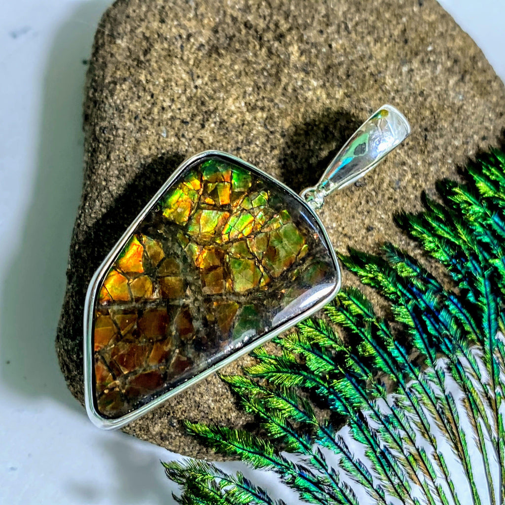 Flashy Ammolite Pendant in Sterling Silver (Includes Silver Chain) #1 - Earth Family Crystals