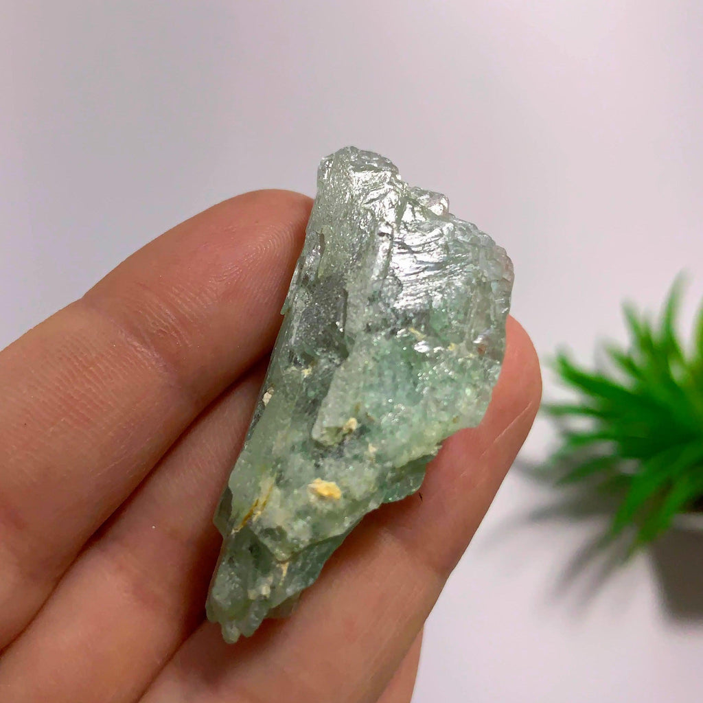 Gemmy Hiddenite (Green Kunzite) from Minas Gerais, Brazil #2 - Earth Family Crystals