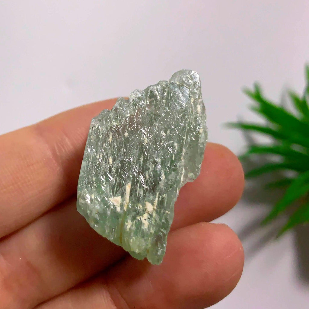 Gemmy Hiddenite (Green Kunzite) from Minas Gerais, Brazil #3 - Earth Family Crystals
