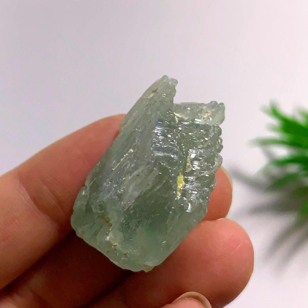 Gemmy Hiddenite (Green Kunzite) from Minas Gerais, Brazil #3 - Earth Family Crystals
