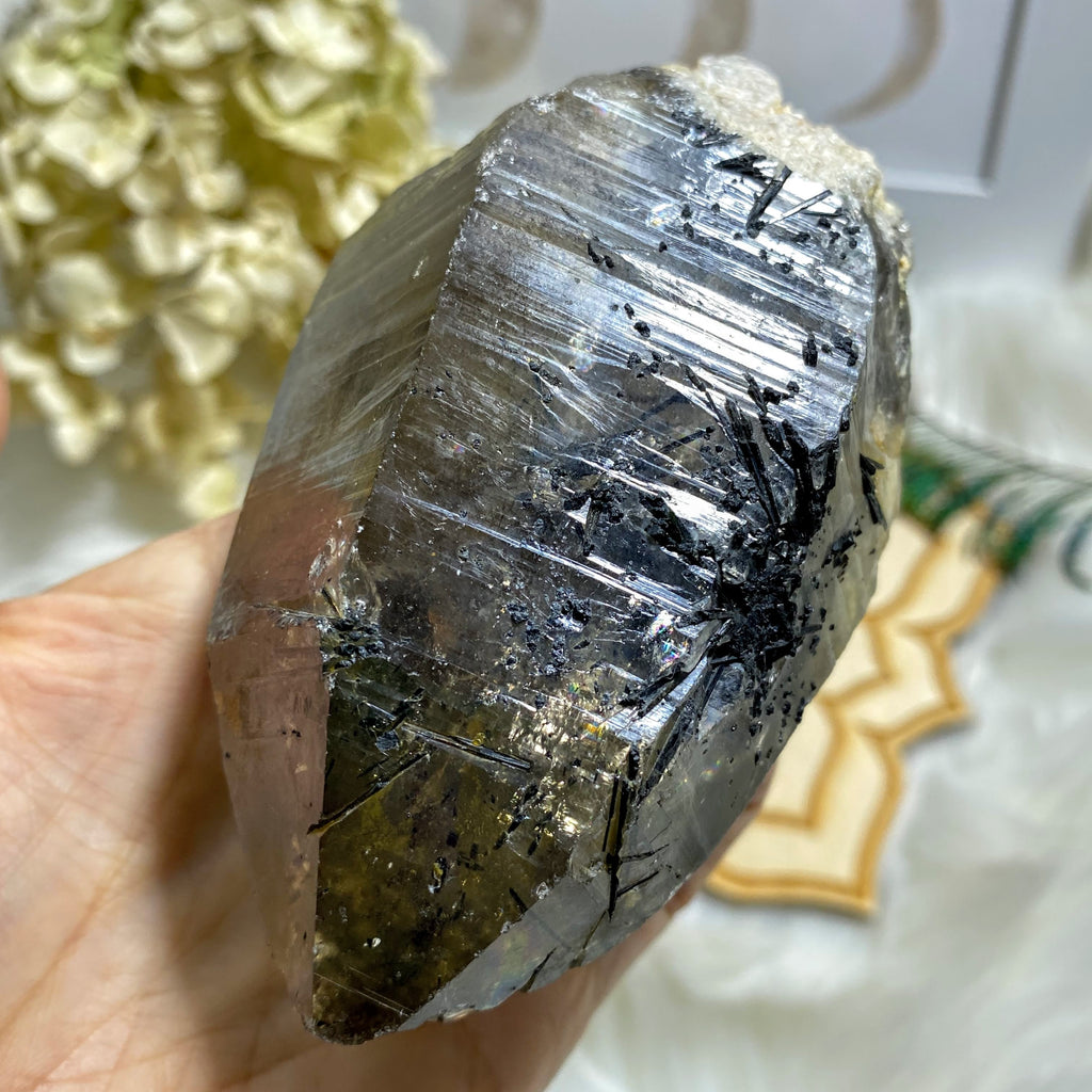 Unique Large Natural Smoky Quartz & Citrine Point With Aegirine Rutile Inclusions~ Locality Malawi, Africa - Earth Family Crystals