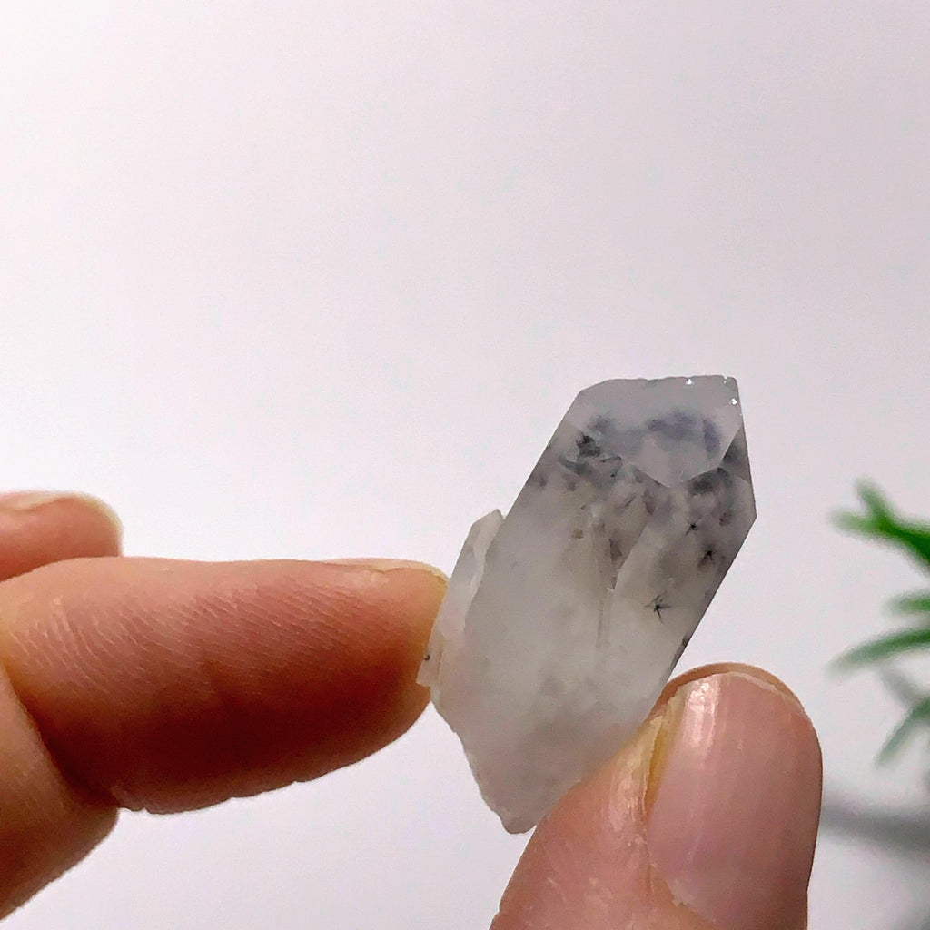 Bursting Star Hollandite Rare Dainty Specimen From Madagascar - Earth Family Crystals