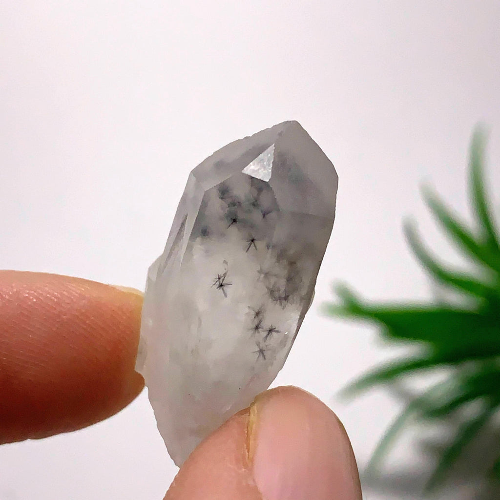 Bursting Star Hollandite Rare Dainty Specimen From Madagascar - Earth Family Crystals