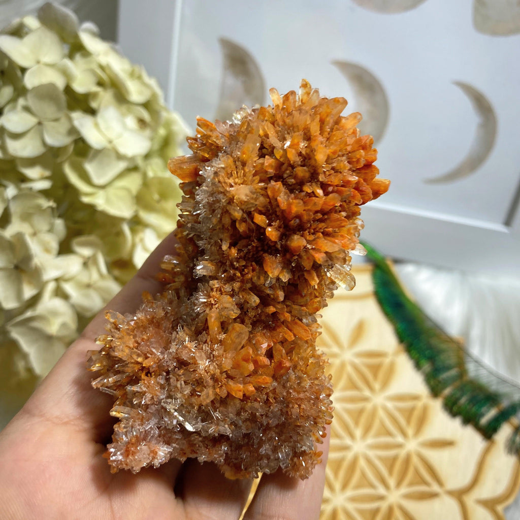 AA Quality~Gorgeous Sparkling Orange Creedite Natural Large Specimen -Locality Mexico - Earth Family Crystals