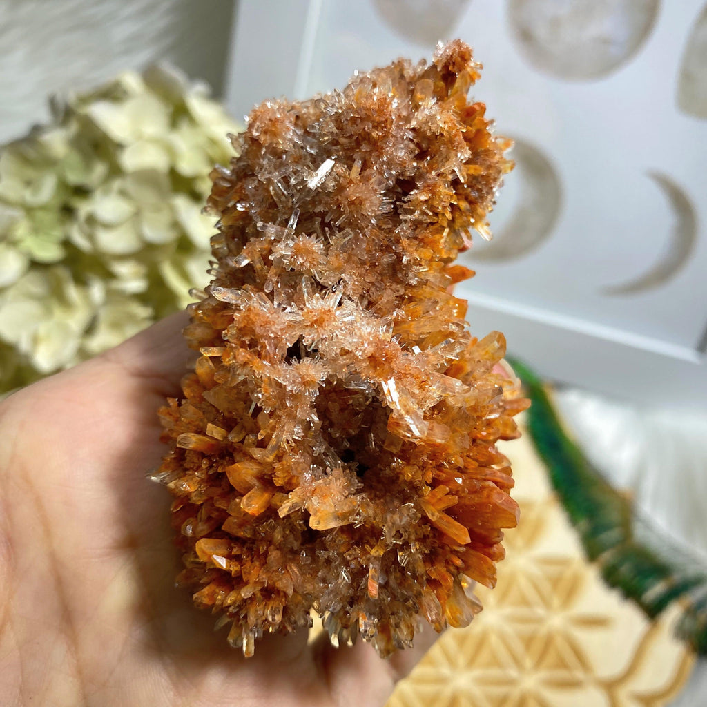 AA Quality~Gorgeous Sparkling Orange Creedite Natural Large Specimen -Locality Mexico - Earth Family Crystals