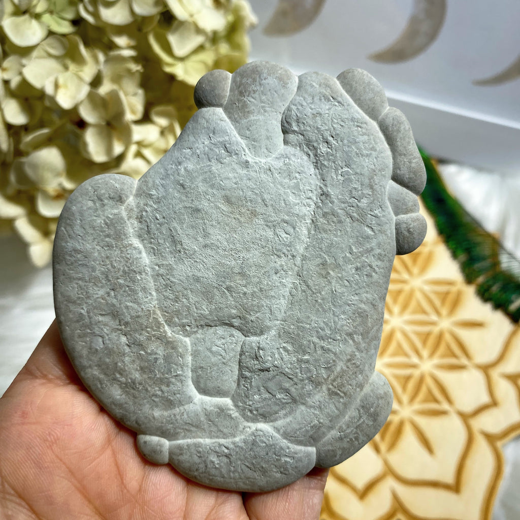 Unique Shape! Fairy Stone Concretion Natural Large Specimen ~Locality: Quebec Canada #2 - Earth Family Crystals