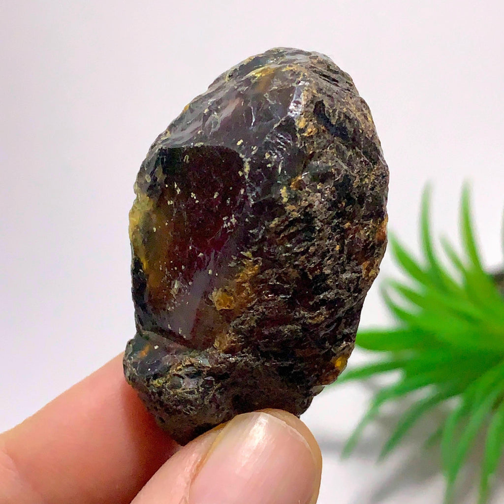Golden & Blue Sumatra Amber Natural Specimen #2 - Earth Family Crystals